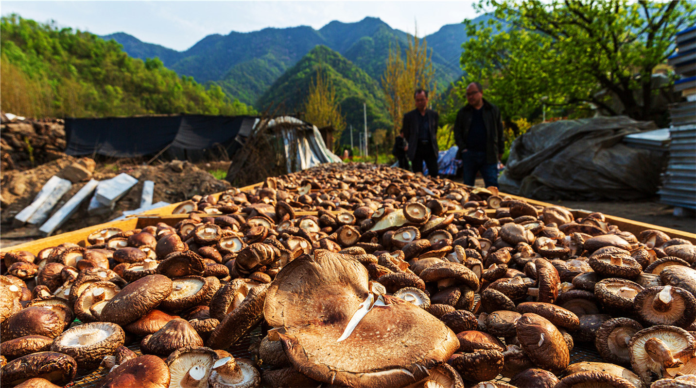 《結(jié)對幫扶，碩果累累》高波